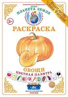 Раскраска Цветная палитра Овощи
