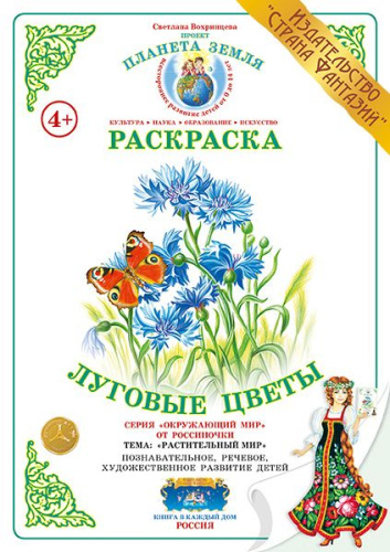 Раскраска Луговые цветы